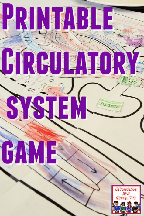 Anatomy for kids: circulatory system game Circulatory System Projects, Circulatory System For Kids, Human Body Homeschool, Anatomy For Kids, Health Science Classroom, Human Body Systems Projects, Body Systems Project, Science Projects For Middle School, Body Science