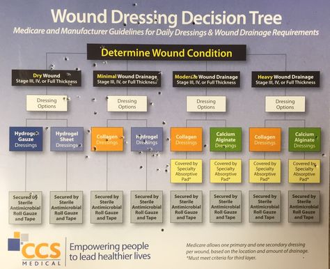 WOUND CARE DRESSINGS Hospice Nursing, Med Surge, Nursing Ideas, Wound Care Nursing, Nerdy Nurse, Cpc Exam, Wound Care Dressings, Nursing Cheat Sheet, Study Info