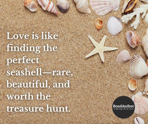 Find your perfect seashell         Check Out: Bondauthor.com  #BondAuthor #LoveStory #LoveQuote Seashell Quotes, Seashells Quote, Beach Themed Crafts, Sassy Quotes, Themed Crafts, Beach Themed, Quotes For Him, Love Quotes For Him, Beach Themes