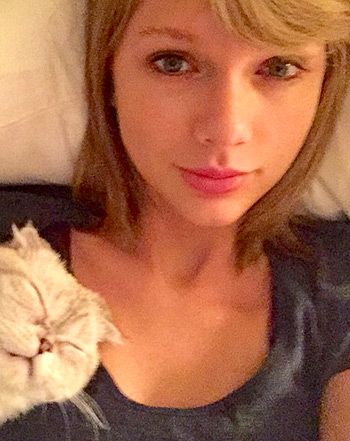 Without makeup. Olivia Benson, Meredith Grey, T Swift, T Swizzle, Swift 3, The Music Industry, Taylor Alison Swift, Taylor S, Music Industry