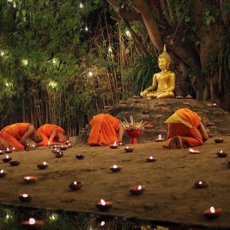 #BDG #News: Theravada Buddhists Celebrate Magha Puja Day #buddhism #buddha #theravada #festival #cambodia #thailand #laos #bangladesh #asia #maghapuja Buddha Aesthetic, Buddhism Aesthetic, Bangladesh Aesthetic, Theravada Buddhism, Buddhist Practices, Buddhism, Pumpkin Patch, Laos, Cambodia