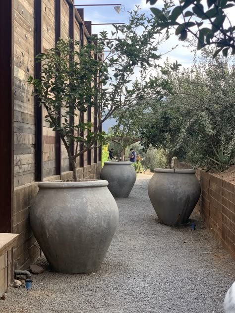 Large Pots In Landscaping, Large Vases Decor, Barn Remodel, Large Vases, Rustic Pots, Planting Pots, Big Vases, Outdoor Deco, Outdoor Patio Space