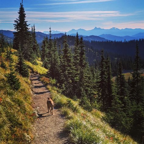 Kalispell Montana Things To Do, Things To Do In Whitefish Montana, Mount Katahdin, Sacred Water, Kalispell Montana, Mcdonald Lake Montana Glacier Np, Kalispell Mt, Outside Seating, Montana Travel