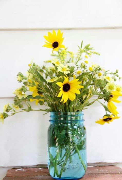 Sunflowers in a mason jar Succulent Centerpiece, Succulent Centerpieces, Mason Jar Flowers, Flower Arrangements Simple, Mason Jar Gifts, Small Succulents, All Flowers, Love Flowers, Amazing Flowers