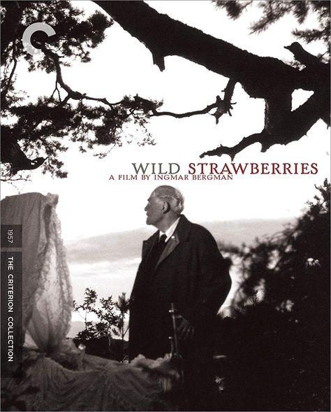 Arthouse Cinema, Criterion Collection, The Seventh Seal, The Criterion Collection, Ingmar Bergman, Dreams And Nightmares, Wild Strawberries, Film Review, Movie Genres