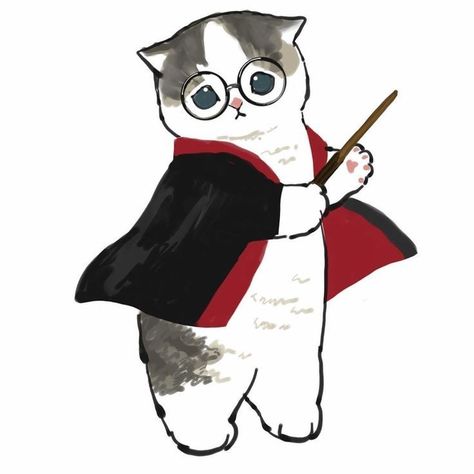 A Cat, Harry Potter, Black