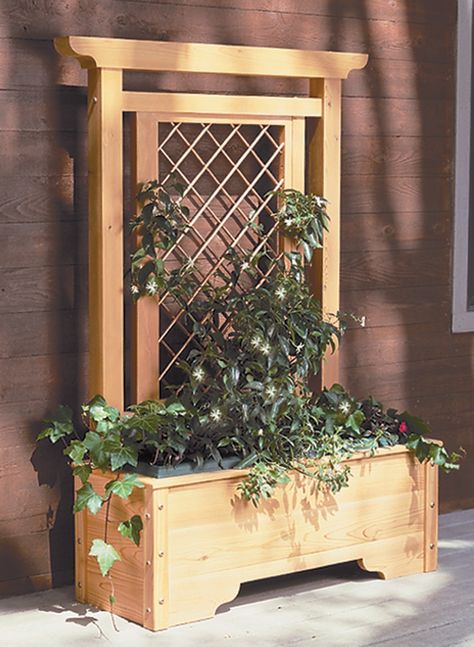 Building a Patio Planter With a Twist!: How do you turn an ordinary planter into a project that’s sure to attract attention? Simple. Build it out of cedar and attach a trellis with curved copper climbing supports. Patio Trellis, Clematis Trellis, Planter Box With Trellis, Flower Trellis, Modern Trellis, Building A Patio, Trellis Fence, Metal Trellis, Cheap Pergola