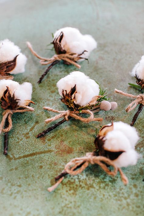 Cotton Boutonniere, Cotton Wedding Decor, Fall Vineyard, Cotton Bouquet, Virginia Fall, Cotton Wedding, Romantic Picnics, Boutonniere Wedding, Rustic Country Wedding