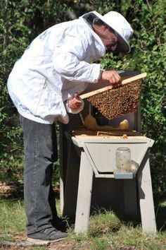 Top Bar Bee Hive, Backyard Beehive, Honey Bees Keeping, Langstroth Hive, Top Bar Hive, Bee Hive Plans, Backyard Bee, Beekeeping For Beginners, Raising Bees