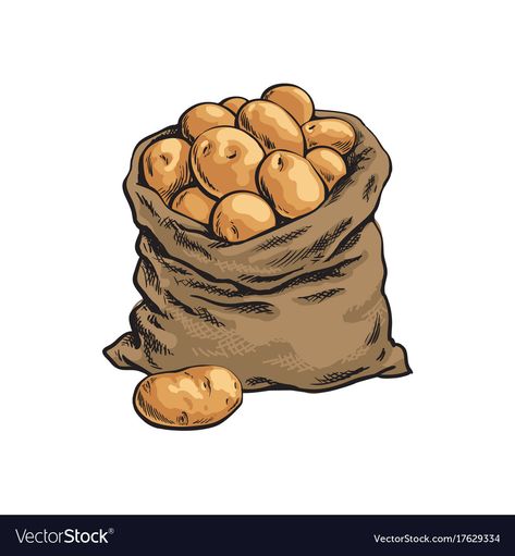 Potato Sketch, Sack Drawing, Sack Illustration, Potato Tattoo, Potato Drawing, Potato Sack, Potato Bag, Burlap Sacks, Food Illustration Art