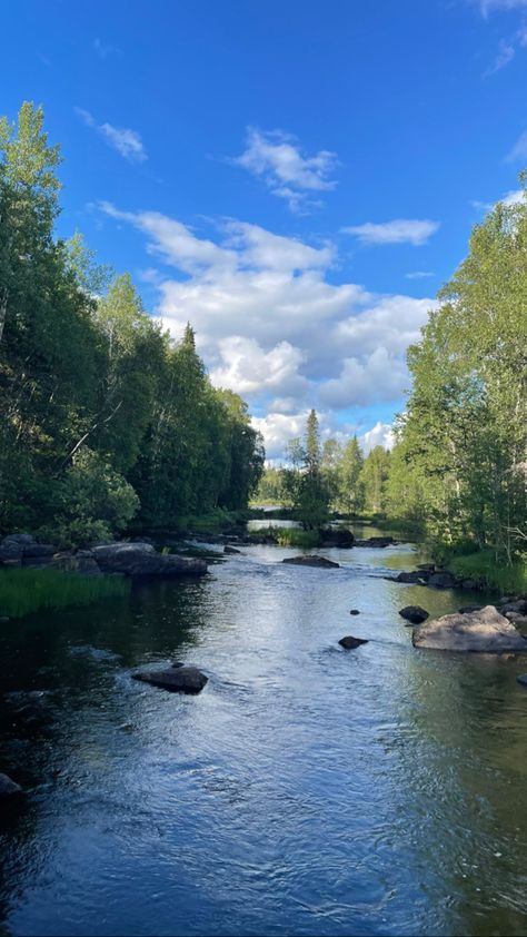 Summer Vacation Finland Summer, Beautiful River, Finland, Forest, Travel