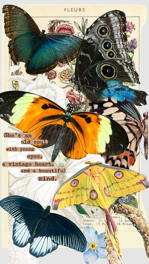 Insect Moodboard, Butterfly Lockscreen Aesthetic, Butterfly Mood Board, Collage Reference, Insect Art Projects, Natural Forms Gcse, Insects Art, Butterfly Transformation, Garden Aesthetics