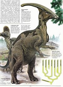 Love in the Time of Chasmosaurs: Vintage Dinosaur Art: I can't believe it's yet more The Illustrated Encyclopedia of Dinosaurs (Part 4) Vintage Dinosaur Illustration, Vintage Dinosaur Art, Thinking Pose, Prehistoric Animals Dinosaurs, Vintage Dinosaur, Dinosaur Facts, Prehistoric Wildlife, Dinosaur Posters, Prehistoric World