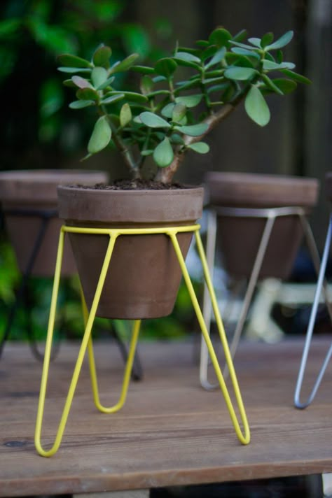 Modern in design and small in size, this yellow steel tripod plant stand is perfect for small plants and herbs. House Plant Decor, Vertikal Garden, Tattoo Plant, Iron Plant Stand, Support Pour Plante, Wrought Iron Decor, Plant Stands Outdoor, Modern Plant Stand, Wood Plant Stand