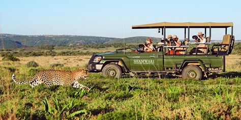 South Africa Vacations: $3999 -- South Africa Luxe Tented Safari; Air from Orlando | Travelzoo National Geographic Expeditions, South Africa Safari, Africa Adventure, Africa Tour, Forest And Wildlife, Africa Do Sul, Wildlife Safari, Masai Mara, Africa Safari