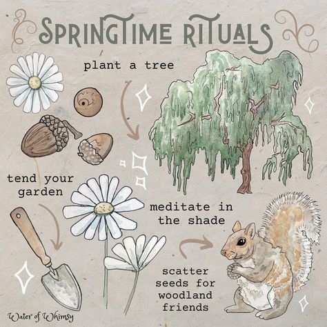 Herbology Witchcraft Aesthetic, Witch Holidays 2023, Spring Herbs Witchcraft, Spring Witchcraft, Water Of Whimsy, Flowers Witchcraft, Herbs And Flowers Witchcraft, Cottage Witch Aesthetic, Witch Rituals