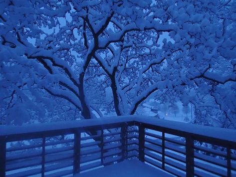 Blue snowy morning - Imgur Light Blue Winter Aesthetic, Blue Winter Aesthetic Wallpaper, Blue Winter Aesthetic, Winter Aesthetic Wallpaper, Snow Night, Christmas Tree Wallpaper, Light Blue Aesthetic, Blue Aesthetic Pastel, Blue Winter