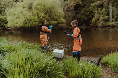 Environmental Consultant Aesthetic, Wildlife Biology, Field Research, Environmental Scientist, Conservation Biology, Wildlife Biologist, College Motivation, Environmental Studies, Life Vision Board