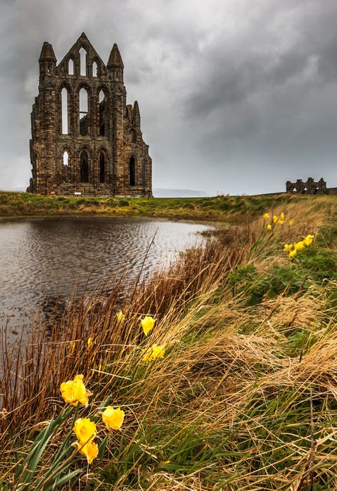 Whitby Abbey Abandoned Abbey, Medieval Places, Whitby Abbey, England Countryside, Gothic Buildings, Yorkshire Dales, Yorkshire England, Beautiful Castles, Old Building