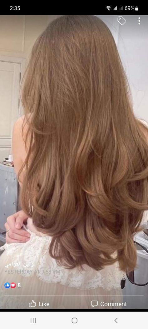 Milk Beige Balayage, Light Gold Brown Hair, Light Honey Brown Hair Color, Hair Color Caramel Blonde, Dark Golden Hair, Olive Skin Hair Color, Olive Skin Hair, Gold Brown Hair, Caramel Blonde Hair Color