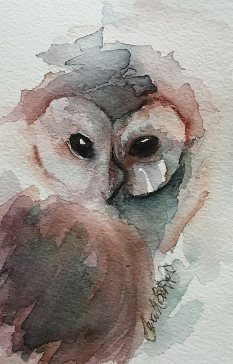 Watercolour Owl Painting, Watercolor Art Owl, Watercolor Animals Easy, Waterpaint Ideas, Watercolour Owl, Watercolour Birds, Owl Watercolor, Bird Watercolor Paintings, Watercolor Birds