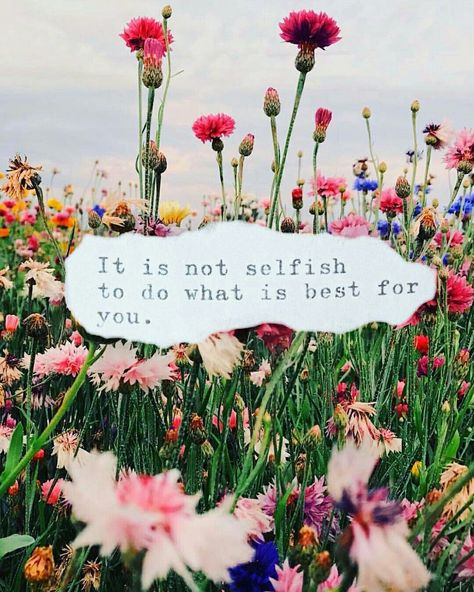 ●✿● "It is not selfish to do what is best for You." ✶♥✿♥✶ Doing Things For Yourself Quotes, Art Projects For All Ages, Motivation Positive, Color Quotes, Clark Kent, Inspirational Art, Health Quotes, A Sign, Pretty Words