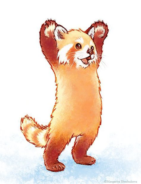 Red Panda, An Animal, Fox, Orange, Red, White