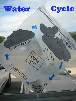 DIY Tutorial: Fog, water, rain! Create your own water cycle in a plastic bag Water Cycle Activities, Grade 2 Science, Science Experience, Clouds And Rain, Water Rain, 1st Grade Science, 4th Grade Science, 5th Grade Science, Earth And Space Science