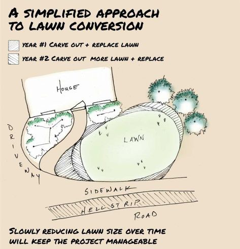 From Nightmare Lawn to Happy Meadow yard in 5 Easy Steps Want to get rid of your unsustainable lawn and replace it with an easy happy meadow? This article shares 5 steps for converting a lawn to a meadow garden. Meadows are more pollinator friendly, less maintenance and better for the environment. A meadow is an easy lawn alternative - Learn how to start converting your lawn today. Meadow Yard, Italian Pool, Lawn Alternative, Replace Lawn, Lawn Roller, Lawn Alternatives, Planting Design, Pool Backyard, Meadow Garden