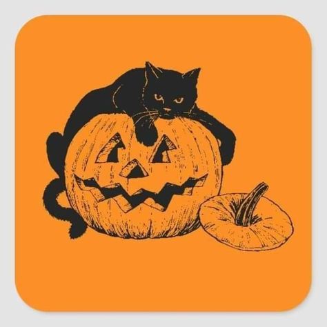 Cat In Pumpkin Drawing, Cat In Pumpkin, Cat Pumpkin Carving, Cat Resting, Pumpkin Squares, Cat And Pumpkin, Pumpkin Drawing, Halloween Wallpaper Backgrounds, Chat Halloween