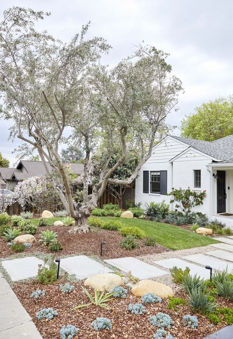 Newport Beach Homes Exterior, Lawn Conversion Ideas, Northern California Landscaping, Front Yard Landscaping California, Minimalist Front Yard Landscaping, Mediterranean Front Yard, Sidewalk Landscape, California Garden Design, 1950s Bungalow