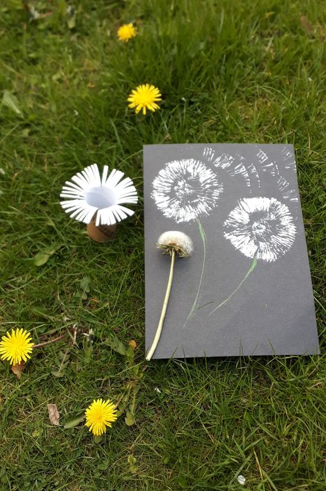 More dandelion art... try this simple technique using a toilet roll tube and paint to create a dandelion clock picture. #DandelionArt #EarlyYearsArt #NatureArt Paper Dandelion, Dandelion Craft, Garden Kids, Dandelion Art, Dandelion Clock, A Dandelion, Clock Art, Forest School, Outdoor School