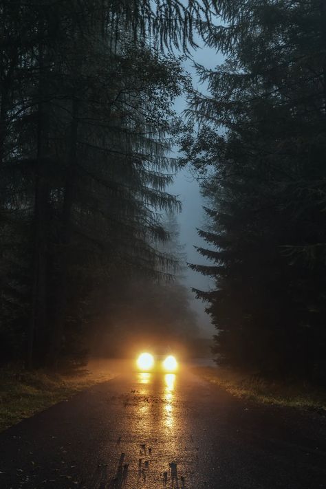 Spooky Night, Free High Resolution Photos, Night Drive, Foggy Forest, Photography Challenge, Outdoor Photos, Night Driving, Life Is Strange, Photo Challenge