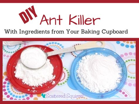 DIY Ant Killer Diy Ant Killer, Ant Killer Recipe, Homemade Ant Killer, Baking Cupboard, Ant Bait, Sugar Ants, Borax Cleaning, Ant Spray, Ant Control