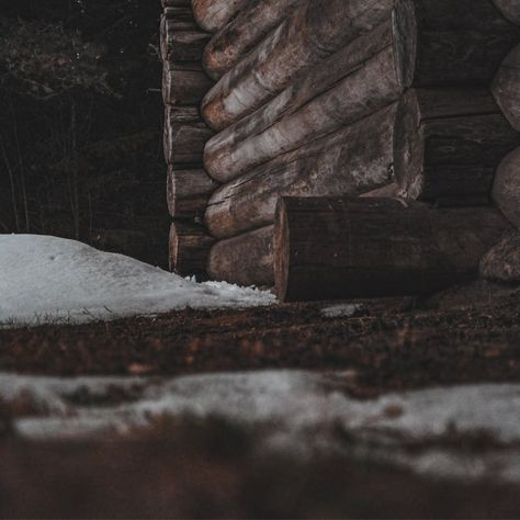 Log Cabin Aesthetic, Winter Cabin Aesthetic, Lumberjack Aesthetic, The Court Of Shadows, Davis Aesthetic, Court Of Shadows, Sam Giddings, Kirsten Larson, Emily Davis