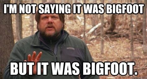 Bigfoot Movies, Gorilla Suit, Bigfoot Pictures, Bigfoot Art, Eye Witness, Finding Bigfoot, Funny Bigfoot, Bigfoot Sightings, Bigfoot Humor