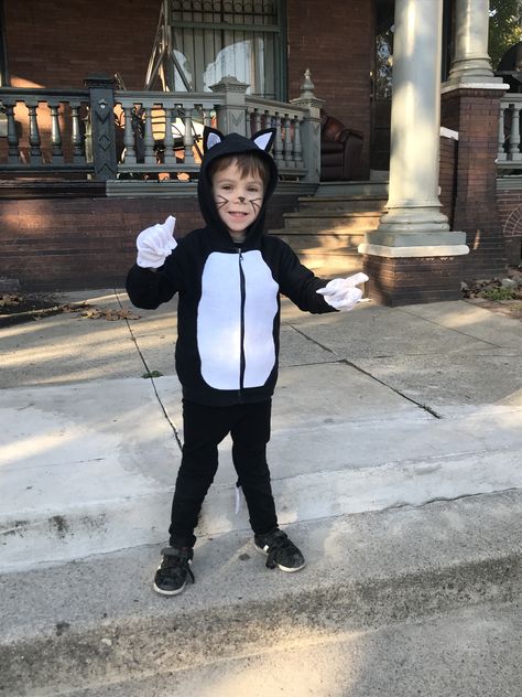 A simple cat costume from things we had in our house. Boy Cat Costume, Boys Cat Costume, Toddler Cat Costume, Cat Costume Diy, 2024 Halloween, Cat Costume, Halloween 2024, Cat Costumes, Diy Halloween Costumes