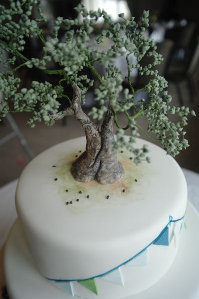 fondant trees | fondant olive tree - Cake Decorating Community - Cakes We Bake Fondant Tree, Zoe Cake, Country Cake, Picture Cake, Artist Cake, Special Event Cakes, Woodland Cake, Tree Cake, Cake Fondant