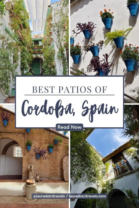 Here is everything you need to know about the Patios of Cordoba. Discover the most beautiful patios of Cordoba España, FAQ answers, and tips for a perfect visit! Spanish Food Spain, Food Spain, Traveling To Spain, Tokyo Guide, Spain Photos, Visit Spain, Beautiful Patios, Perfect Itinerary, Tips For Traveling