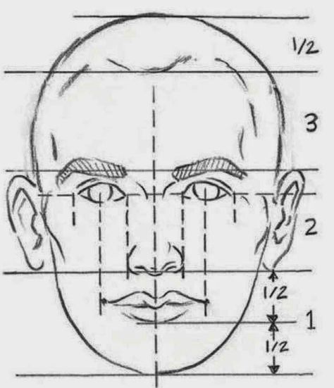 DEVELOPING A PORTRAIT  Drawing a person really is no different than drawing anything else. A human face has contours just like a landscape,... Drawing Proportions, Portrait Au Crayon, Facial Proportions, Face Proportions, Draw Faces, 얼굴 드로잉, Drawing Tutorial Face, Drawing Heads, 얼굴 그리기