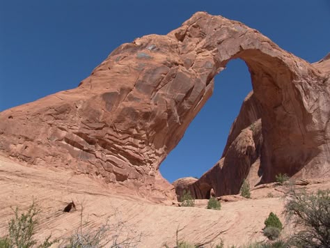 Corona Arch Nature Architecture, Stone Arch, Moab Utah, Cool Rocks, Estate Planning, Travel Images, Rock Formations, Travel Sites, Environment Design