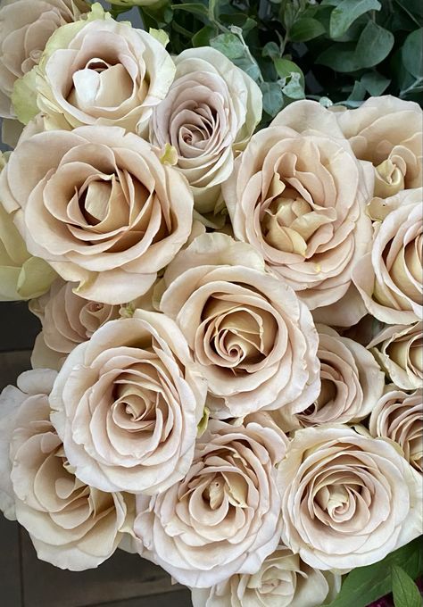 Astral Rose Variety - Beige Tan Rose Cream Roses Aesthetic, White And Beige Rose Bouquet, Tan Roses Aesthetic, Beige Flower Arrangements, Beige Wedding Flowers, Taupe Roses, Beige Bouquet, Tan Roses, Neutral Roses