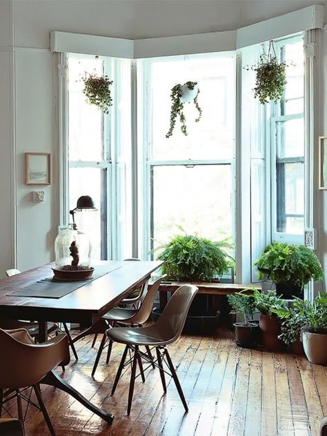 plants, everywhere. Kitchen Table Settings, Design Del Prodotto, Farmhouse Dining, Design Case, Bay Window, Large Windows, Elle Decor, Room Table, Home Fashion