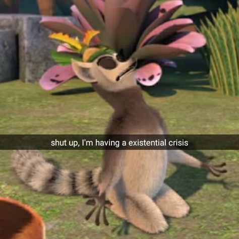 King Julian Memes, King Julian And Morty, King Julien Meme, King Julian Madagascar, Julian Madagascar, King Julian, King Julien, Penguins Of Madagascar, Funny Pix