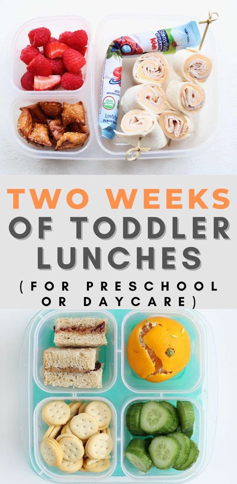 Toddler Sack Lunch Ideas, Easy Toddler Daycare Lunches, Easy Toddler Lunches For School, Daycare Friendly Lunches, Daycare Cold Lunch Ideas, Two Year Old Lunch Ideas, Preschool School Lunch Ideas, Day Care Lunch Idea, Packing Toddler Lunch For Daycare