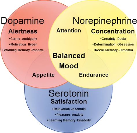 ADHD is highly treatable—a primary care nurse practitioner with ADHD explains the science L Tyrosine, Counseling Resources, Behavioral Health, Cognitive Behavioral Therapy, Nurse Practitioner, Anatomy And Physiology, Behavioral Therapy, Primary Care, Psychiatry