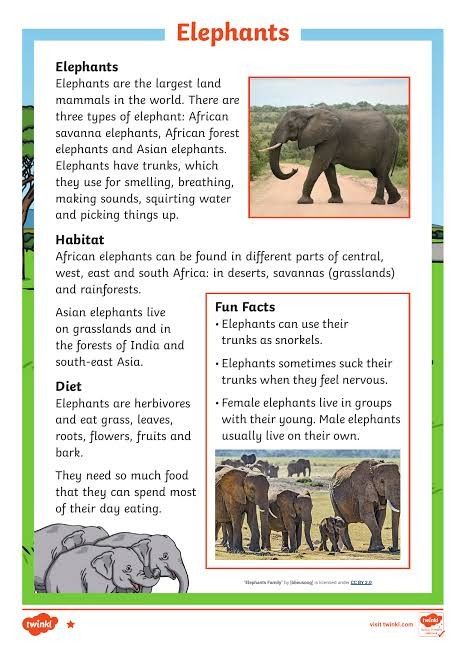 Highlights For Kids, Wildlife Vet, Fun Facts About Elephants, Science 3rd Grade, Types Of Elephants, Zoo Animals Preschool, Savanna Grassland, Thank A Farmer, African Forest Elephant