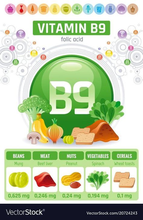 Unknown Facts About Vitamin B9 Diet Infographic, Infographic Diagram, Table Vector, Rich Food, Vitamin B9, Lowest Carb Bread Recipe, Health Vitamins, Beef Liver, Illustration Background