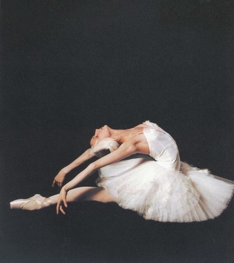 svetlana zakharova | NTBM | ello dahling | Flickr Svetlana Zakharova, Ballet Images, Ballet Beauty, White Tutu, Bolshoi Ballet, Ballet Poses, Ballet Inspiration, Russian Ballet, Dance Like No One Is Watching