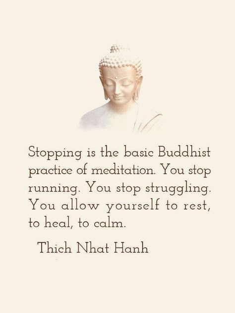 Buddhist Quotes Mindfulness, Buddhist Sayings, Thich Nhat Hanh Quotes Mindfulness, Buddhism Philosophy, Buddhist Words, Buddhism Beliefs, Buddism Quotes, Mindful Quotes, Thich Nhat Hanh Quotes